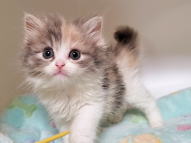 �C���[�W04