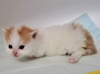 �C���[�W04