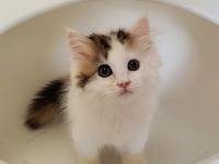 �C���[�W02