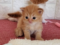 �C���[�W03